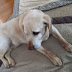 Meet your Posher, Jack